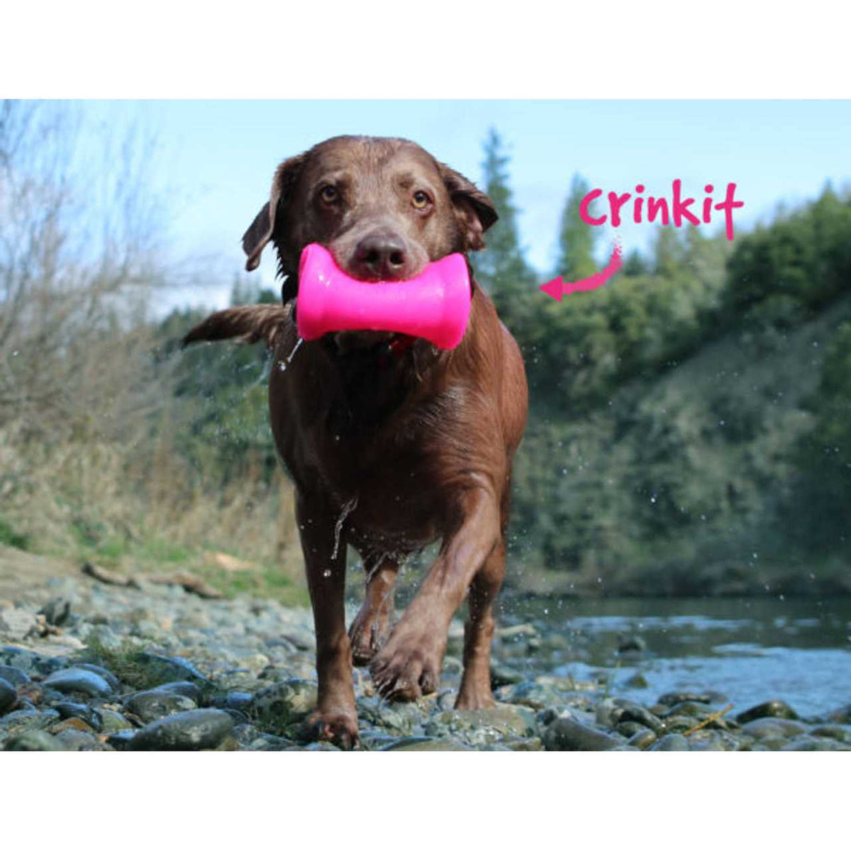 Crinkit Dog Toy Q652096
