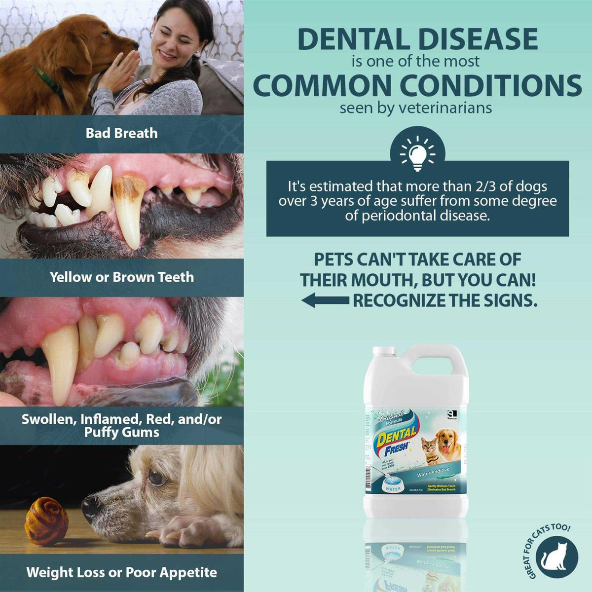 1 Gallon Pet Dental Care O218394