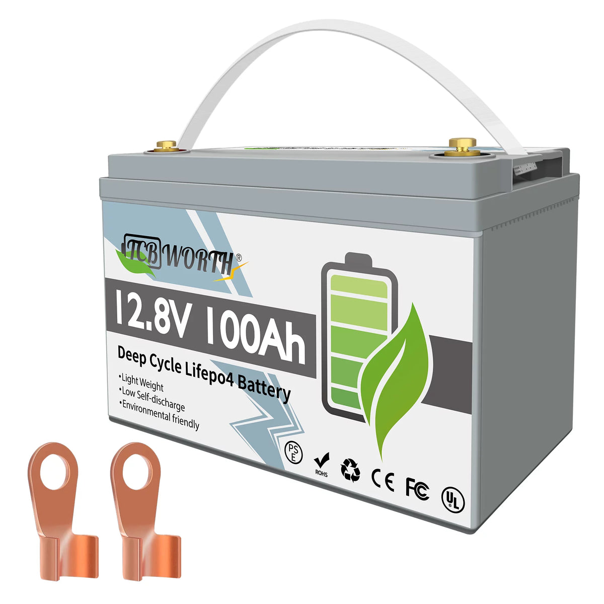 12V 100Ah LiFePO4 Lithium Battery with 100A BMS M923888